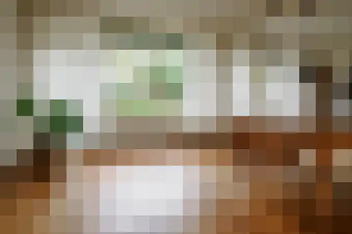 De Wulp 11 Vriezenveen thumbnail 15