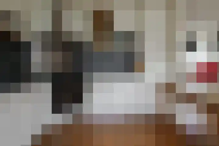 De Wulp 11 Vriezenveen thumbnail 17