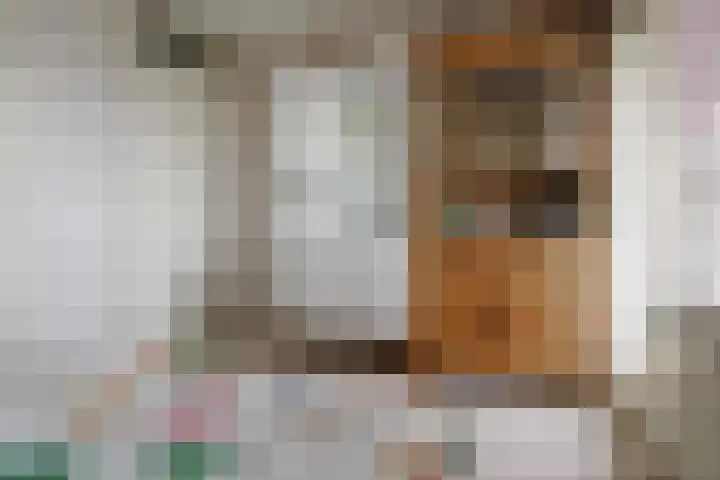 De Wulp 11 Vriezenveen thumbnail 24