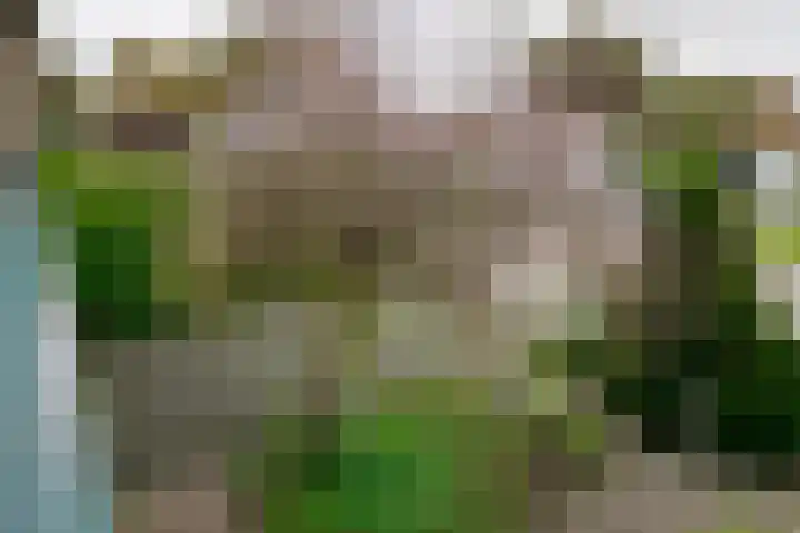 De Wulp 11 Vriezenveen thumbnail 25