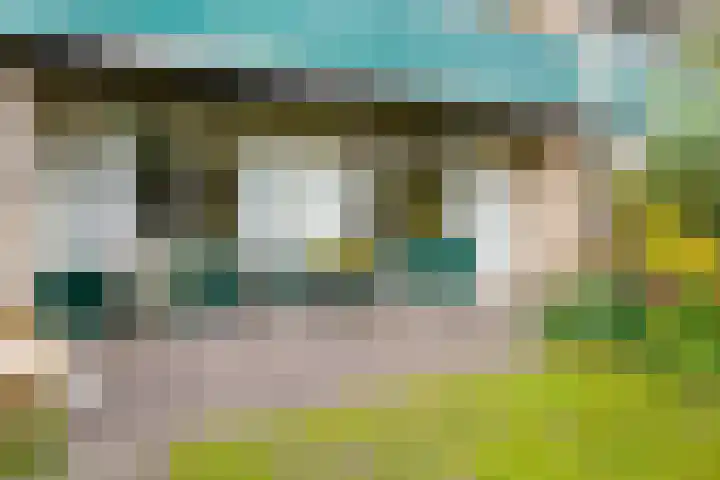 De Wulp 11 Vriezenveen thumbnail 35
