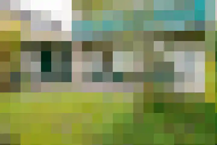 De Wulp 11 Vriezenveen thumbnail 36