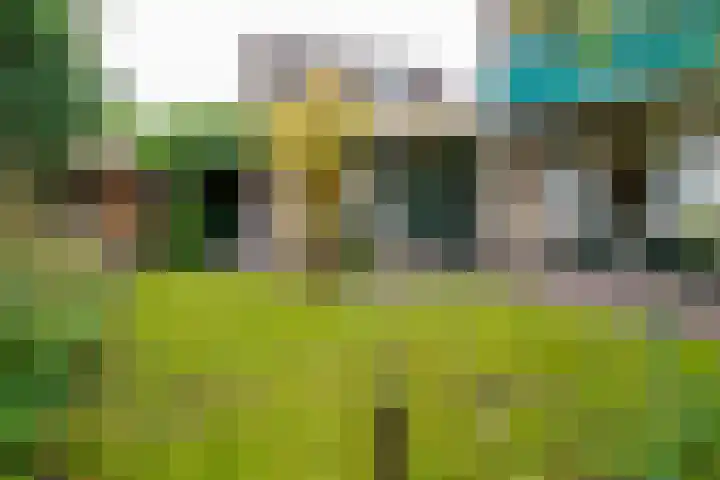 De Wulp 11 Vriezenveen thumbnail 37