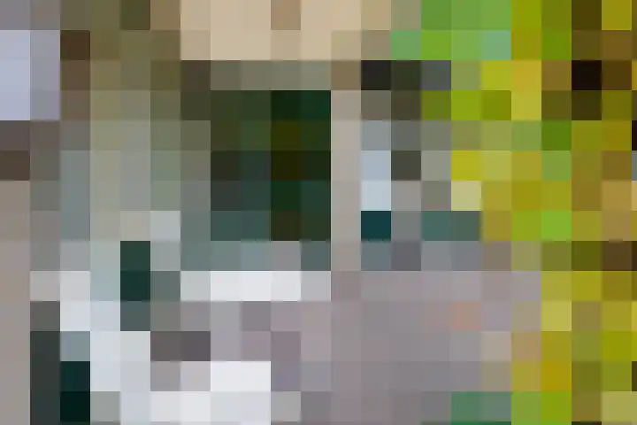 De Wulp 11 Vriezenveen thumbnail 38