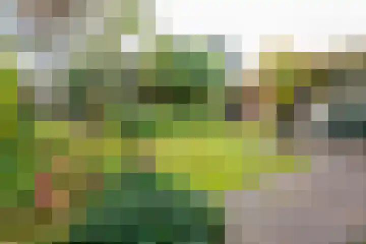 De Wulp 11 Vriezenveen thumbnail 39