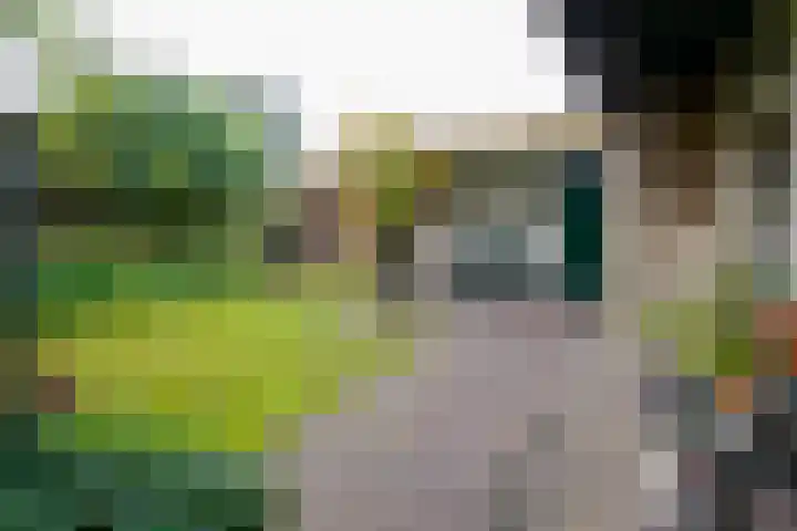De Wulp 11 Vriezenveen thumbnail 40