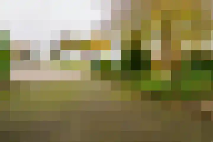 De Wulp 11 Vriezenveen thumbnail 41