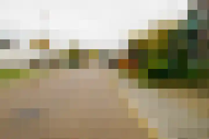 De Wulp 11 Vriezenveen thumbnail 42