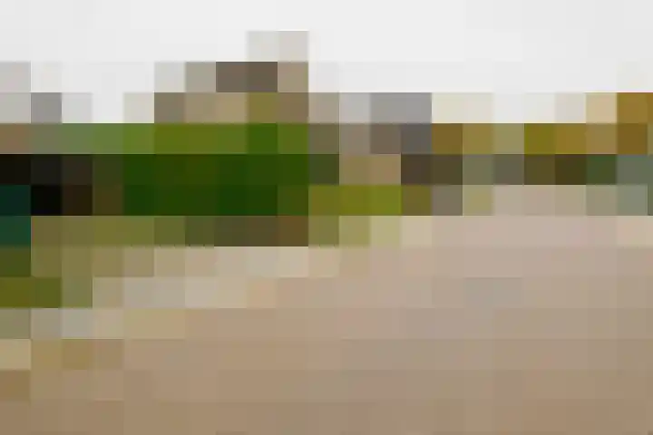 De Wulp 11 Vriezenveen thumbnail 43