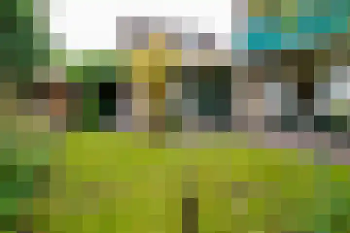 De Wulp 11 Vriezenveen thumbnail 6