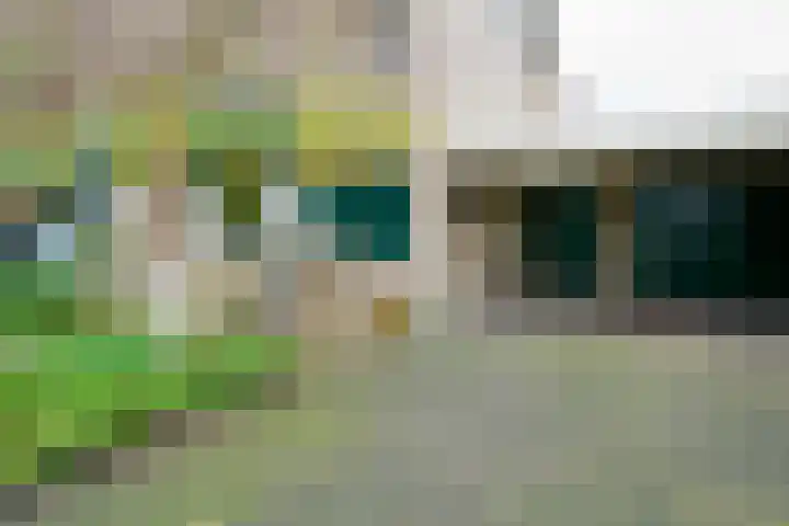 De Wulp 11 Vriezenveen thumbnail 7