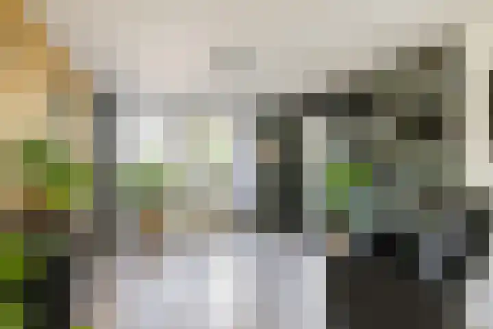 De Wulp 3 Hoogeveen thumbnail 11
