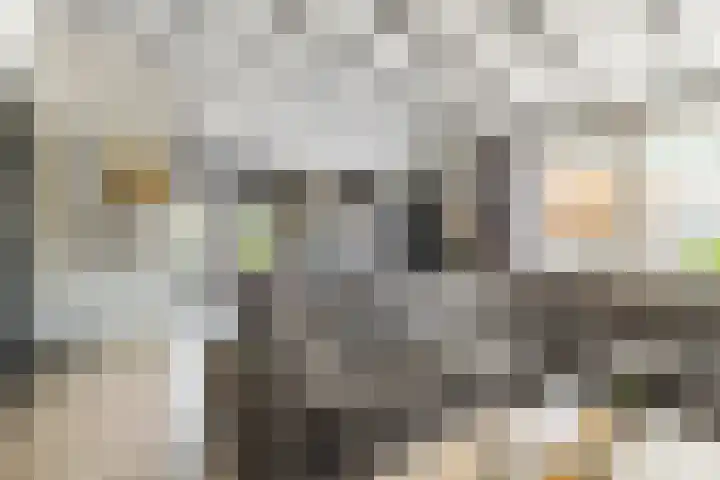 De Wulp 3 Hoogeveen thumbnail 14