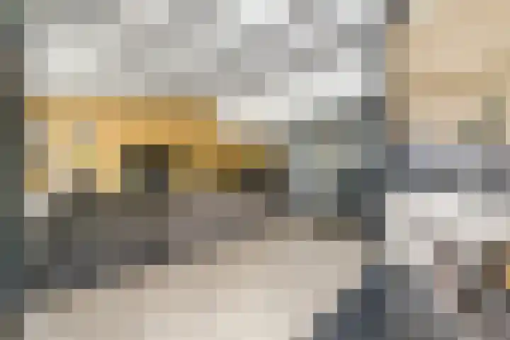 De Wulp 3 Hoogeveen thumbnail 15