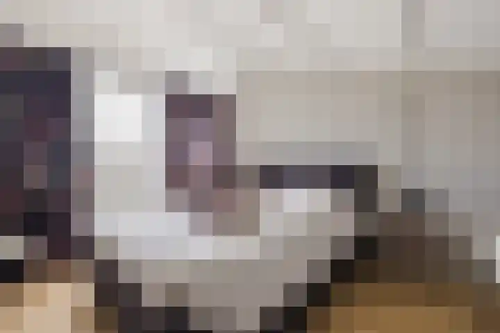 De Wulp 3 Hoogeveen thumbnail 23