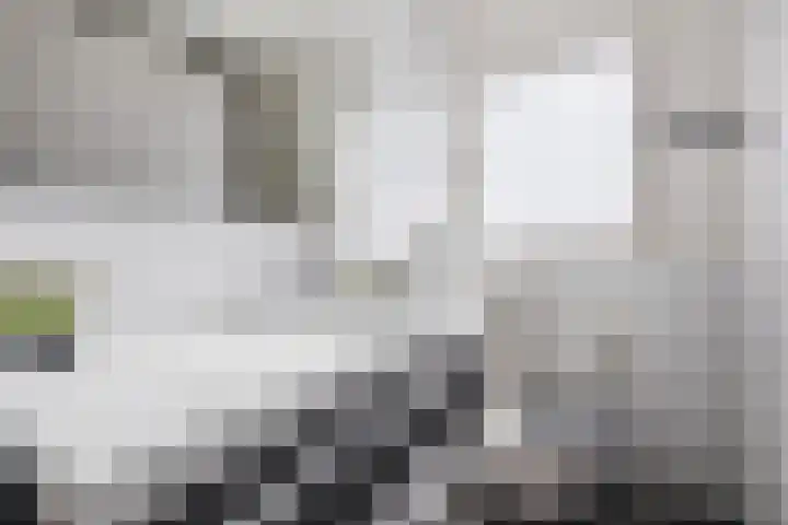 De Wulp 3 Hoogeveen thumbnail 27