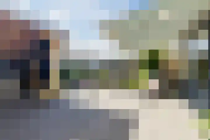 De Wulp 3 Hoogeveen thumbnail 29
