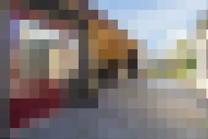 De Wulp 3 Hoogeveen thumbnail 30