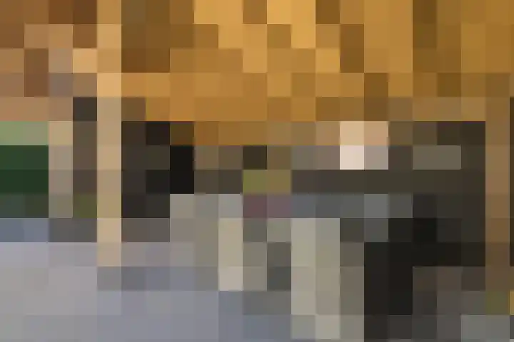De Wulp 3 Hoogeveen thumbnail 33