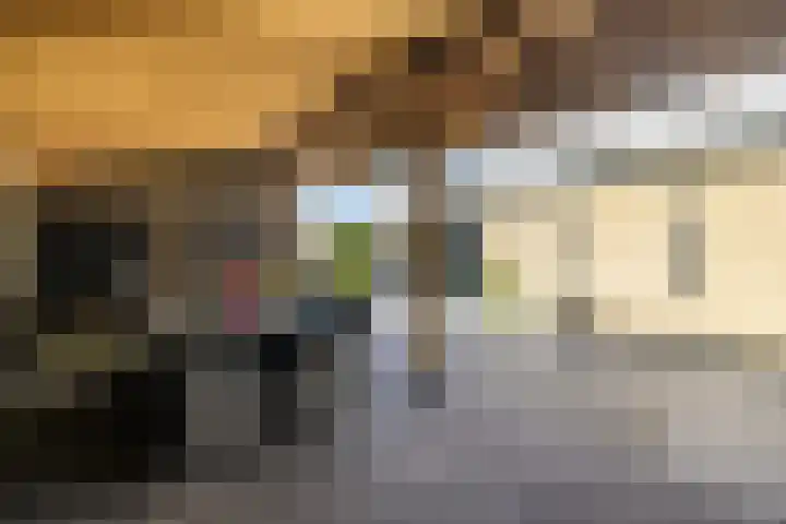 De Wulp 3 Hoogeveen thumbnail 34