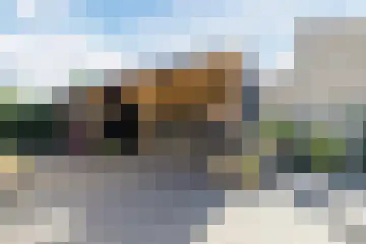 De Wulp 3 Hoogeveen thumbnail 4