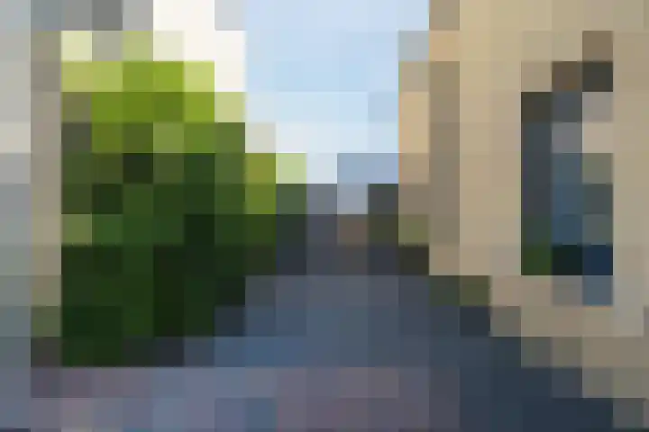 De Wulp 3 Hoogeveen thumbnail 6