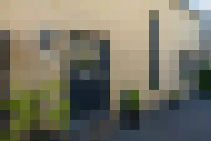 De Wulp 3 Hoogeveen thumbnail 7