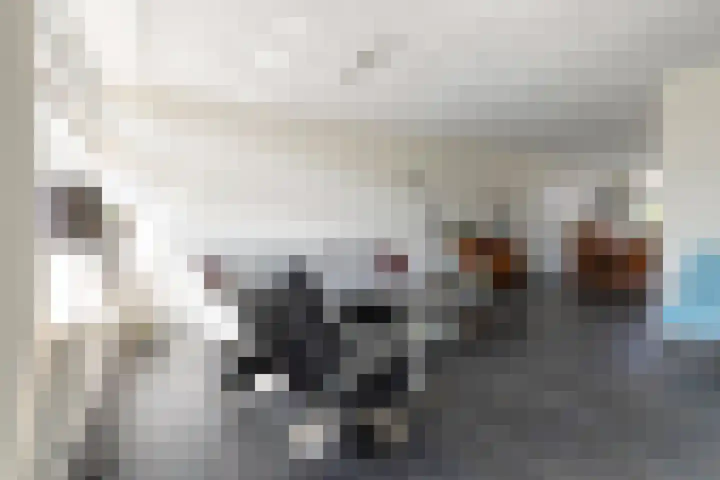 De Wulp 3 Mariaparochie thumbnail 12