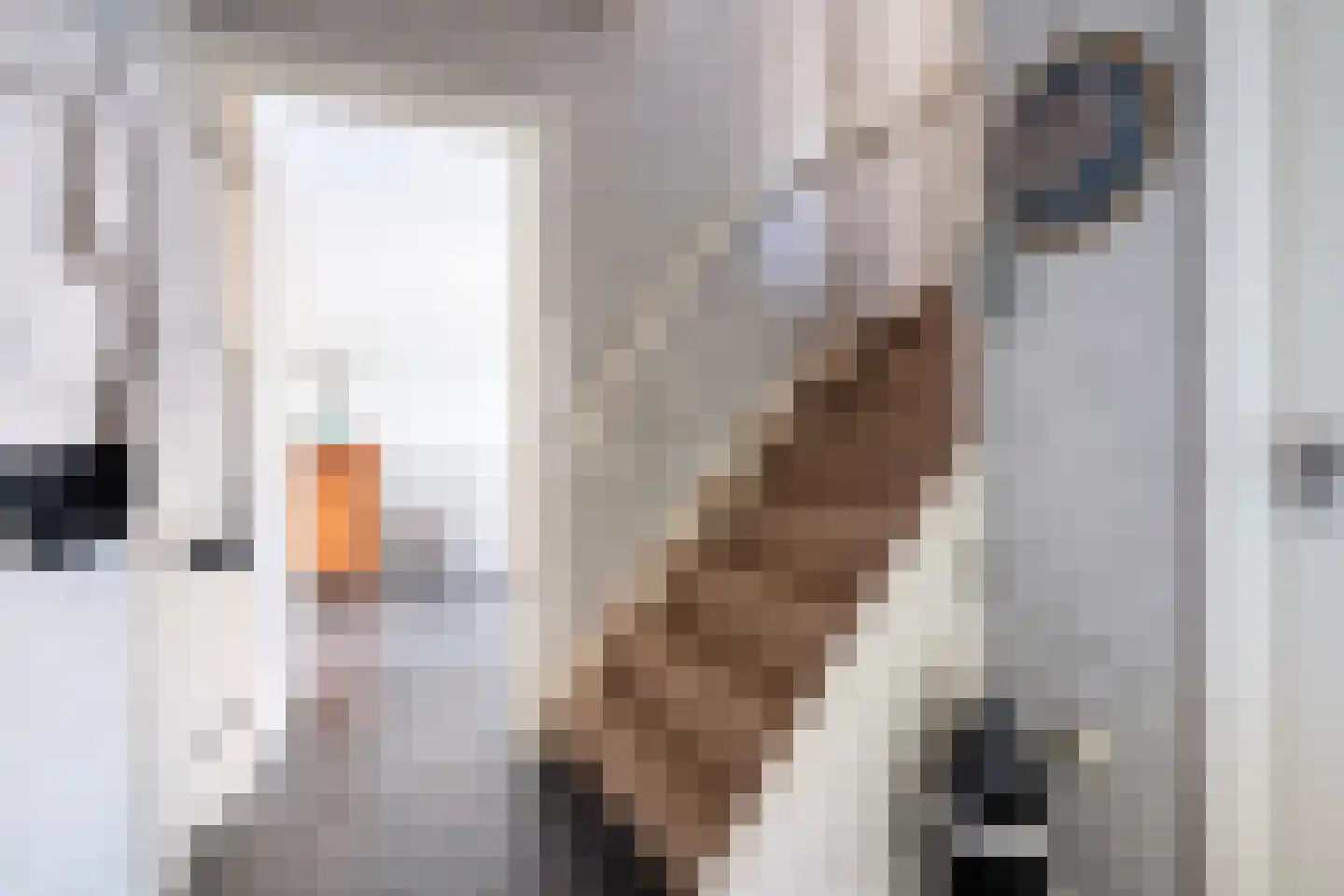 De Wulp 3 Mariaparochie thumbnail 4
