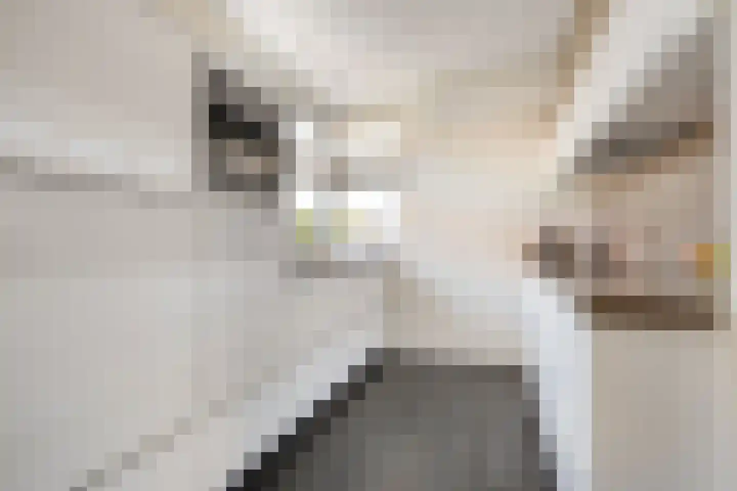 De Wulp 3 Mariaparochie thumbnail 5