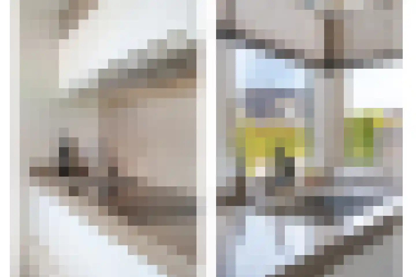 De Wulp 3 Mariaparochie thumbnail 6