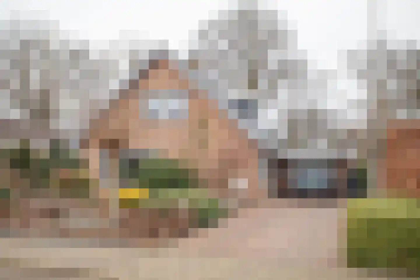 De Wulp 32 Vriezenveen