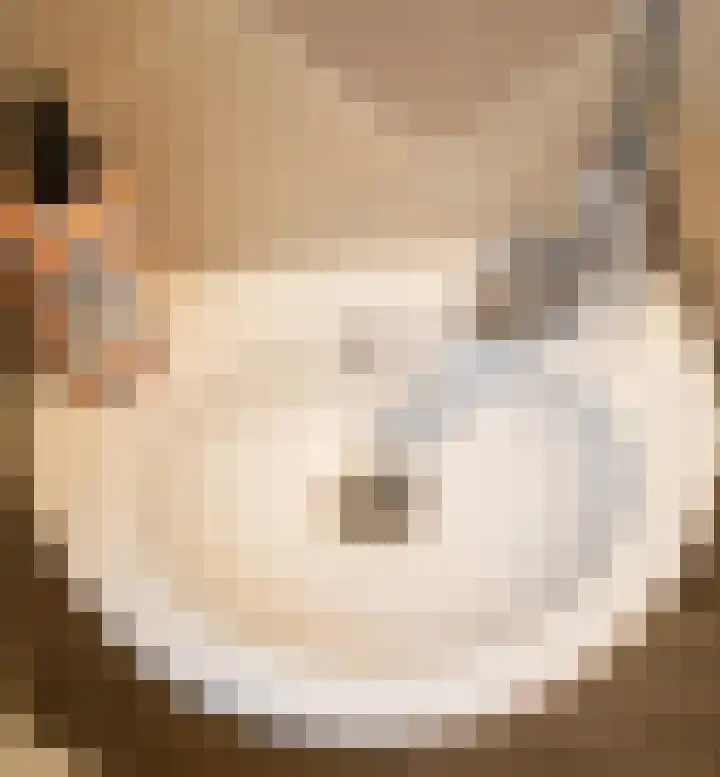 De Wulp 32 Vriezenveen thumbnail 10