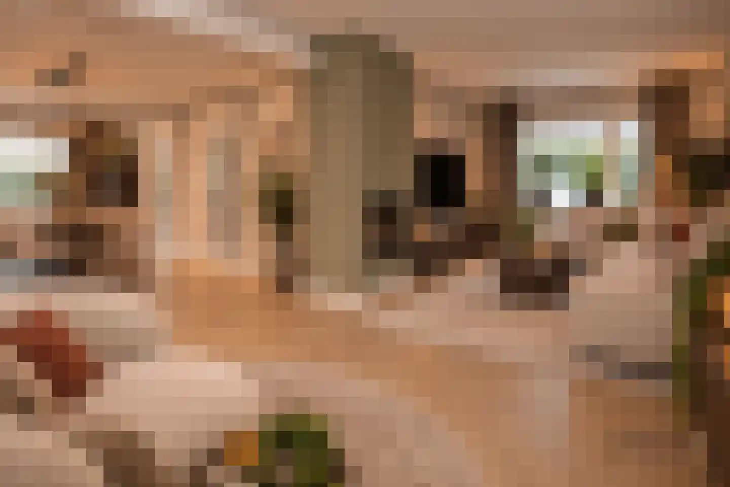De Wulp 32 Vriezenveen thumbnail 24