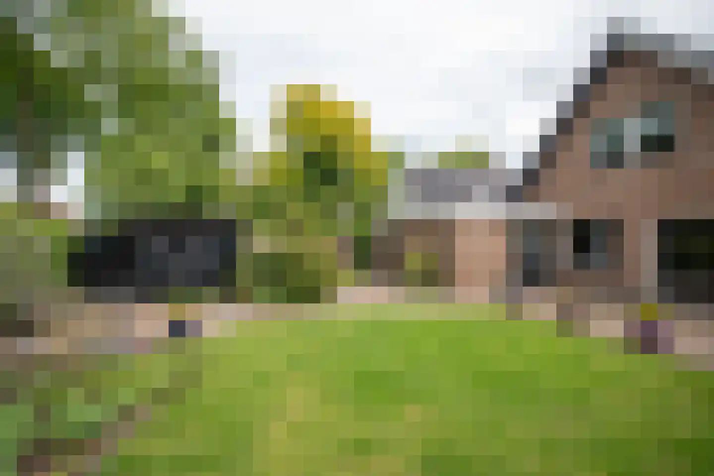 De Wulp 32 Vriezenveen foto 3