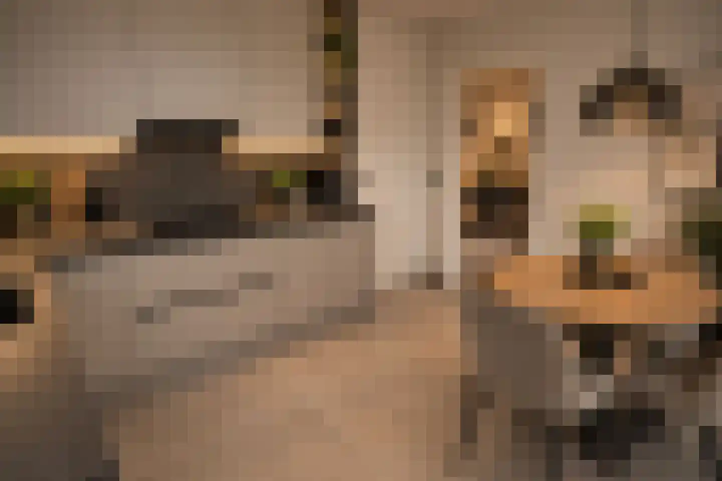 De Wulp 32 Vriezenveen thumbnail 34
