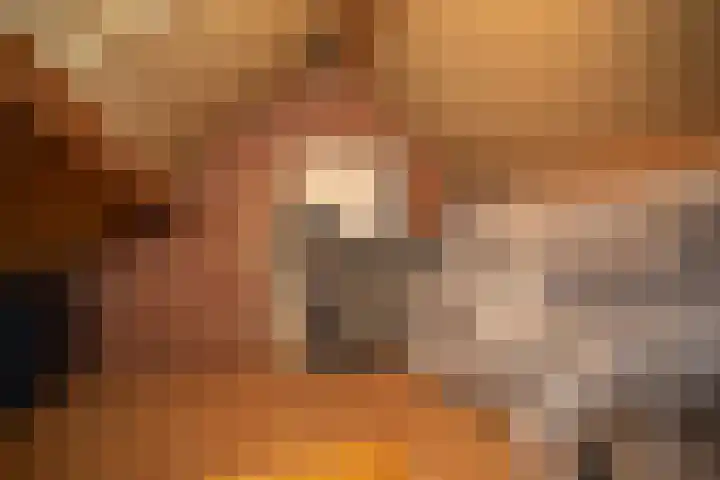 De Wulp 32 Vriezenveen thumbnail 35