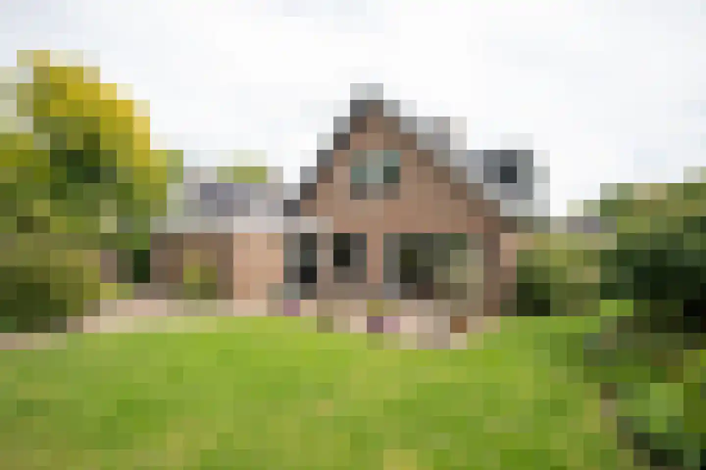 De Wulp 32 Vriezenveen thumbnail 4