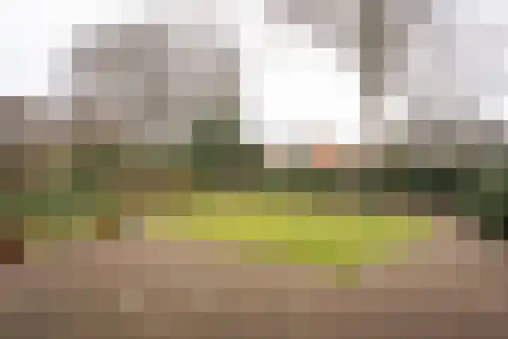 De Wulp 32 Vriezenveen thumbnail 4