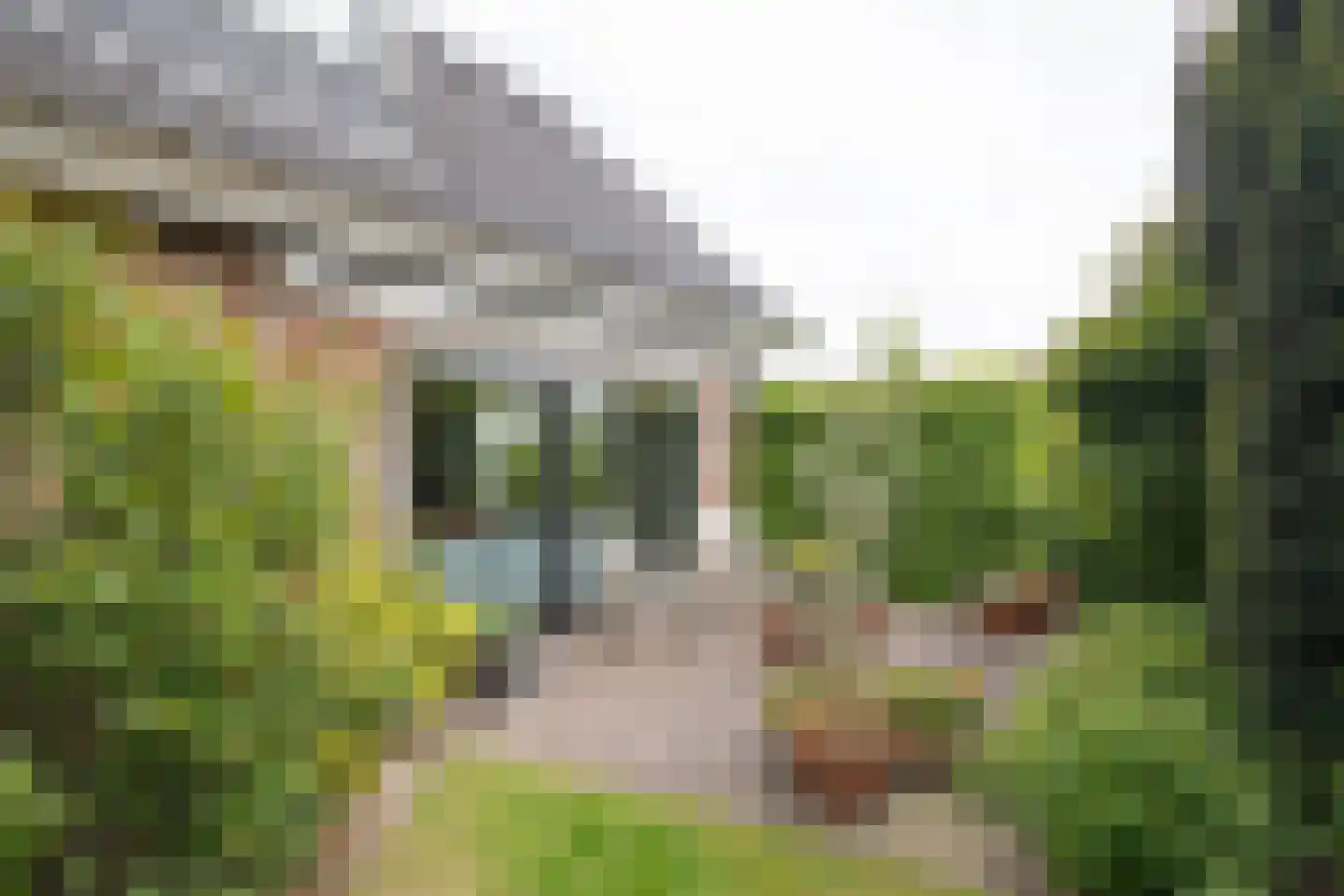 De Wulp 32 Vriezenveen thumbnail 5