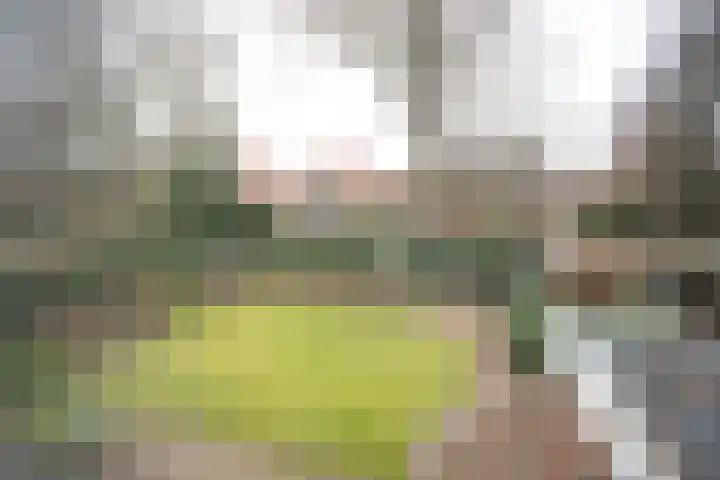De Wulp 32 Vriezenveen thumbnail 51