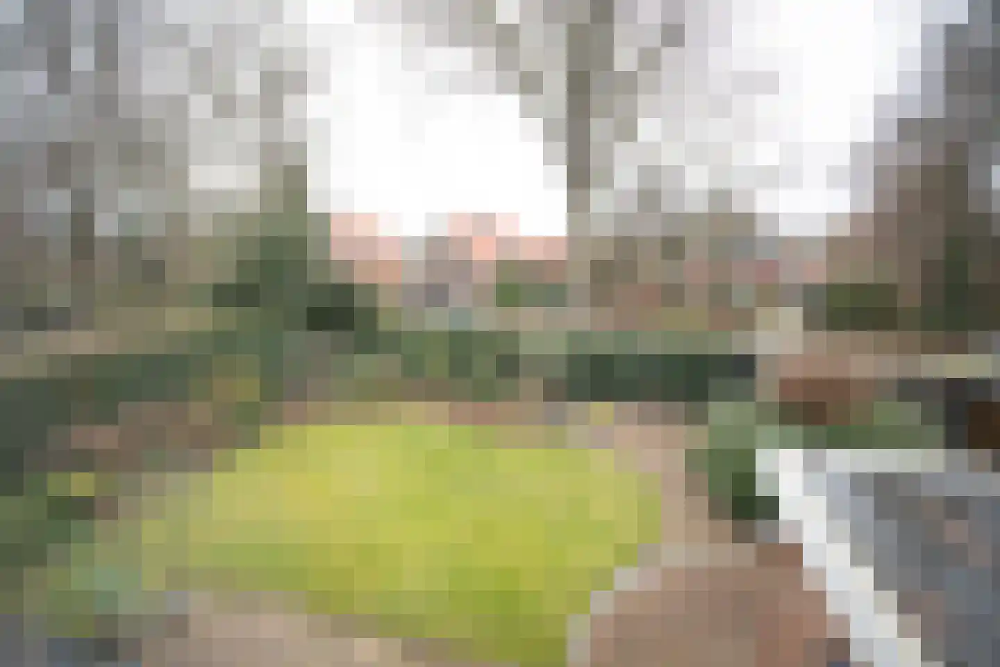 De Wulp 32 Vriezenveen thumbnail 53