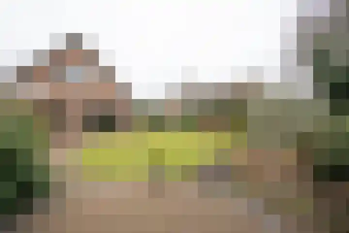De Wulp 32 Vriezenveen thumbnail 56