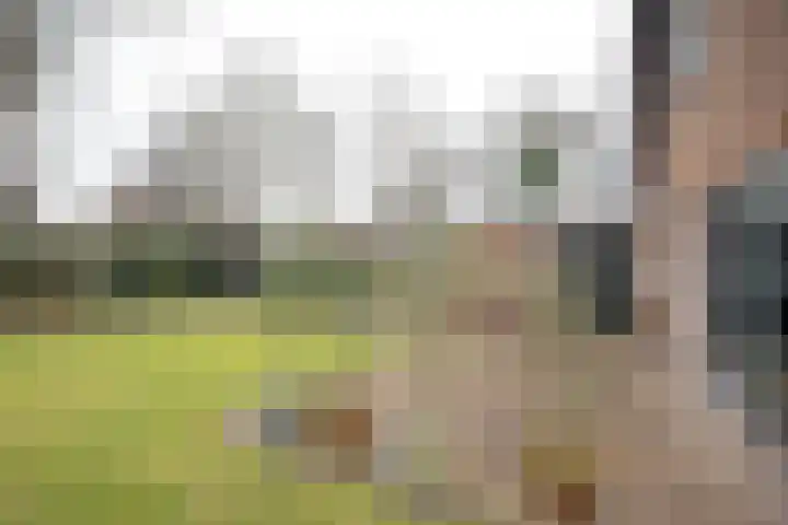 De Wulp 32 Vriezenveen thumbnail 58
