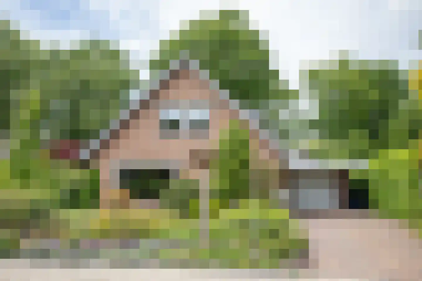 De Wulp 32 Vriezenveen thumbnail 58