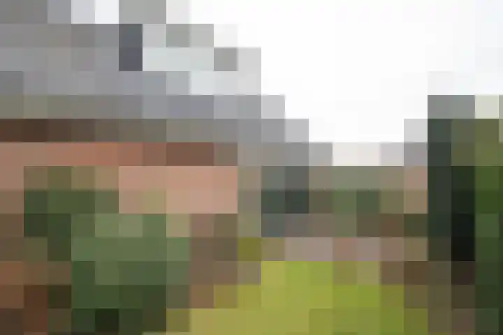 De Wulp 32 Vriezenveen thumbnail 59