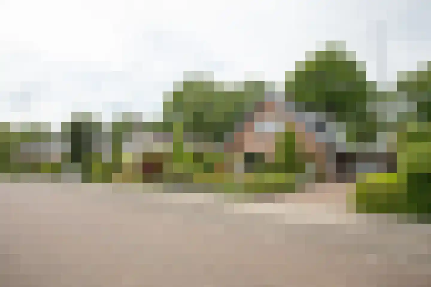 De Wulp 32 Vriezenveen thumbnail 59