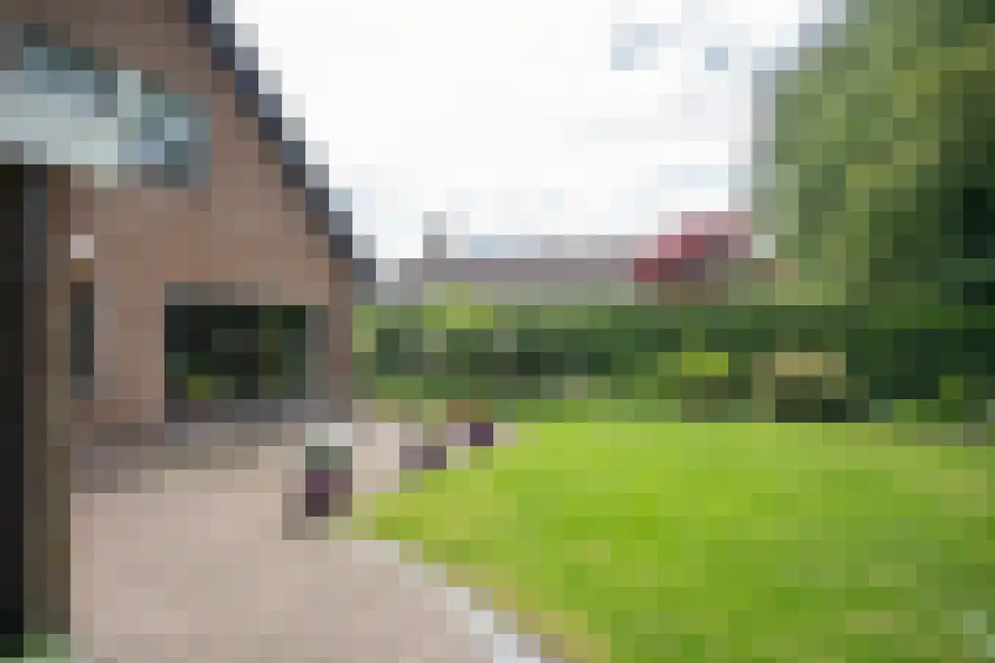 De Wulp 32 Vriezenveen thumbnail 61