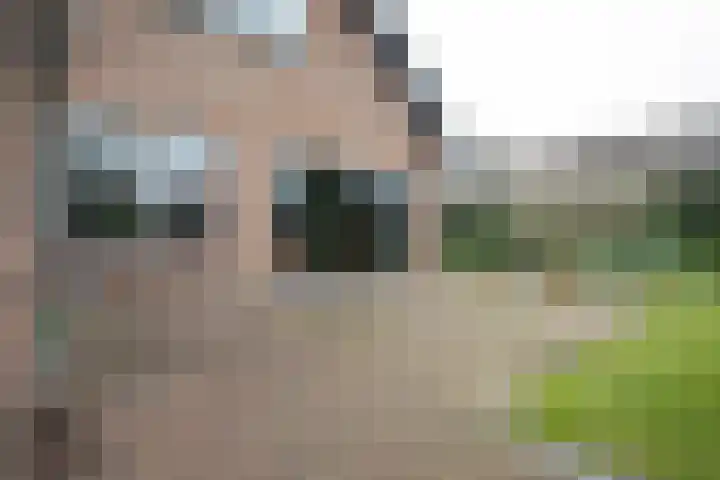 De Wulp 32 Vriezenveen thumbnail 62