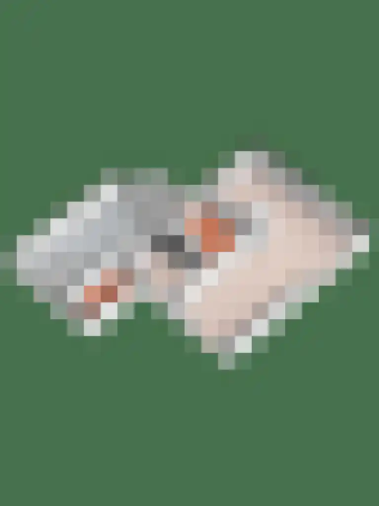 De Wulp 32 Vriezenveen thumbnail 65